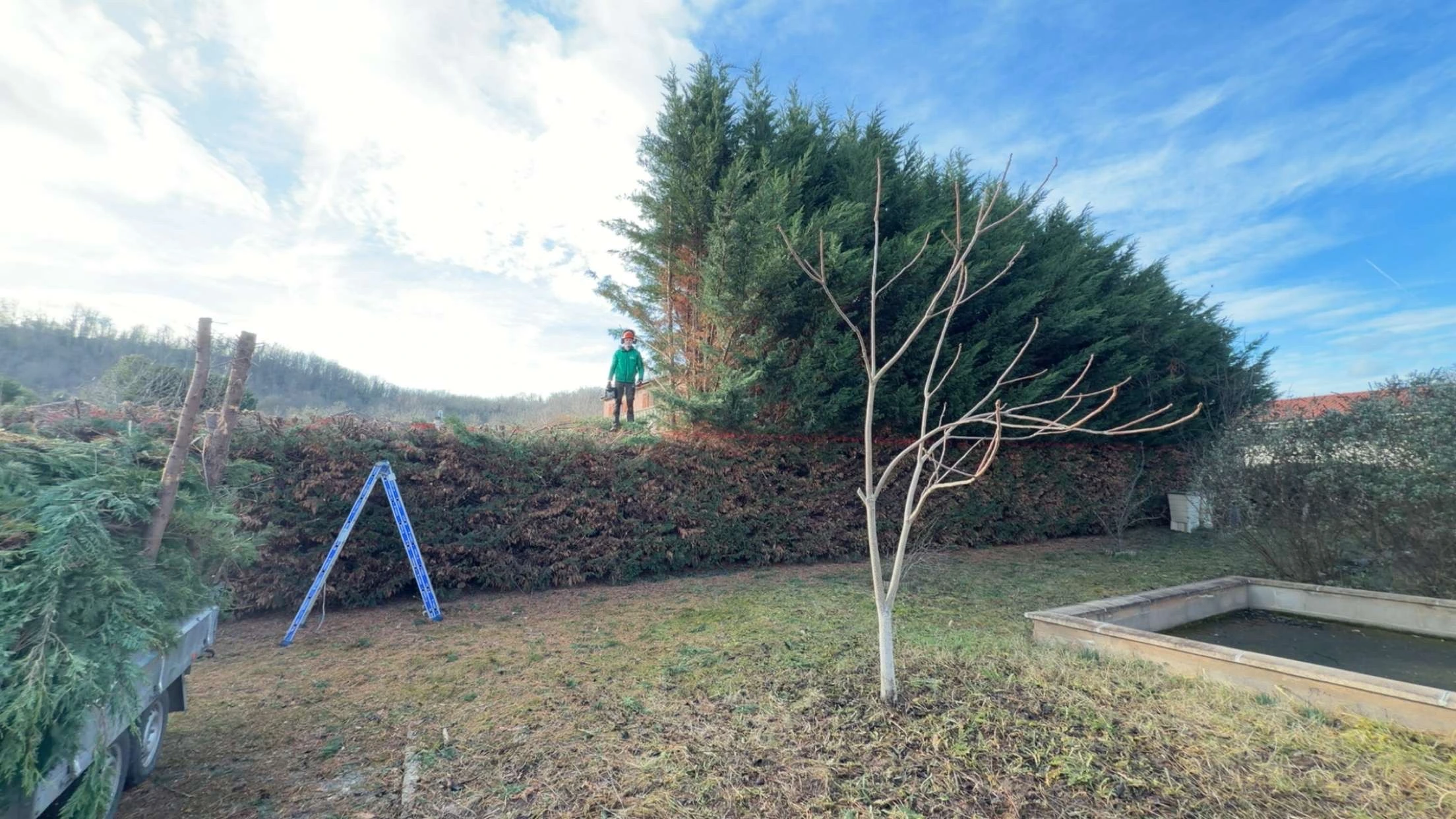 Élagage en cours photo de couverture